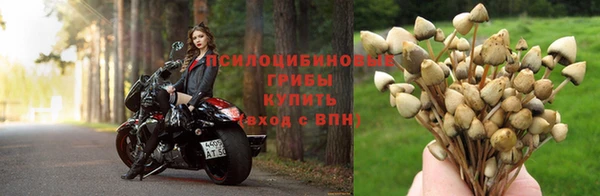 гидра Магадан