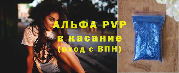 стаф Майский