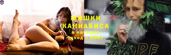 гидра Липки