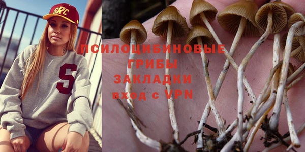 стаф Майский