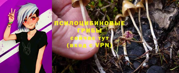 гидра Магадан