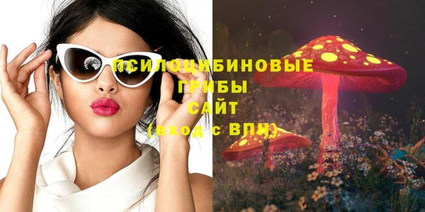 соль ск Данков