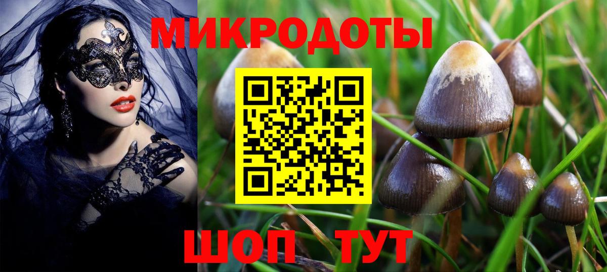 Лангепас  Галлюциногенные грибы Cubensis  Галлюциногенные грибы Psilocybine cubensis  Вход с VPN 